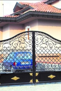 DFK65-Demir-Ferforje-Kupeste