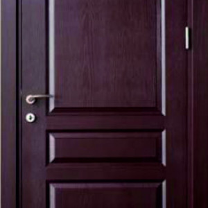 AD09-Amerikan-Panel-Kapi