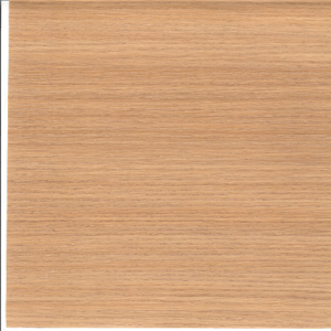 VDA-399 KANADA MEŞE 